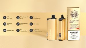 ALIBARBAR INGOT 9000 Puffs | Ship from Australia(Warehouse A3!) 24 ALIBARBAR INGOT 9000 Puffs